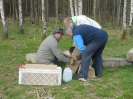 Brigáda - patky pod přístřešek (23.4.2016) 