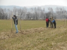 Brigáda ve stromořadí (18.a 19.3.2016)