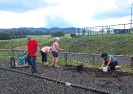 cervencova_brigada_2025_3