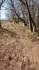 jarni_brigady_2025_5