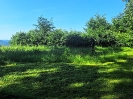 jarni_brigady_2025_6