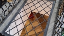 vylet_1
