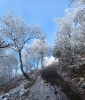 zpivani_a_vyslap_2024_6
