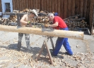 Brigáda - odkůrování kmenů (6.6.2015)