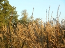 dokoncovaci_prace_4