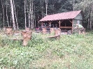 cervencova_brigada_2026_3
