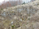jarnibrigada_21