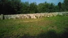 jarni_brigady_10