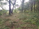 jarni_brigady_10