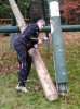listopadova-brigada-17112021_7