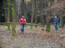 Listopadová brigáda