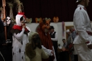 masopust_2020_4