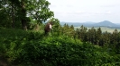 navsteva_5