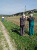opravy_ve_stromoradi_4