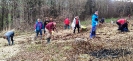 sazeni_stromku_brezen_2023_6
