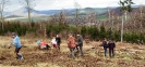 sazeni_stromku_brezen_2023_8