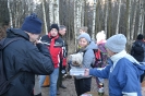 silvestr_2015_1