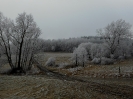silvestrovsky_vyslap_2016_4