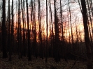 silvestrovsky_vyslap_2021_6