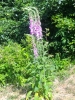 slunovrat_18_6_2022_9