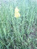 slunovrat_2026_5