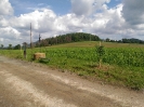 Triangl na jaře 2020