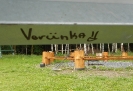 vandalismus_2016_4