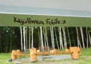Vandalismus (červen 2016)