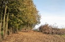 vychazkovy_okruh_102021_10