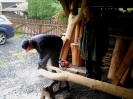 brigada_rozcestniky_2019_7