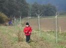 stromoradi_3