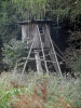 zari_na_trianglu_1