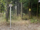 zari_na_trianglu_2