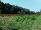 zari_na_trianglu_8